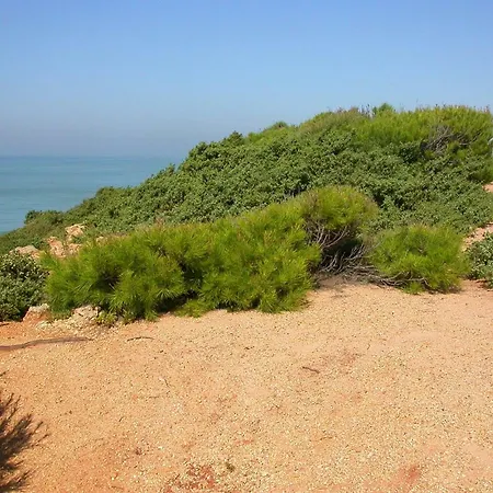 En Roche Hébergement de vacances